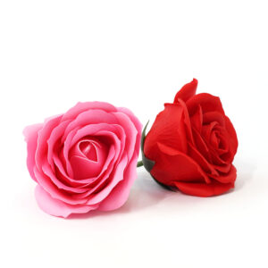 Rosa a Sapone - Aperta