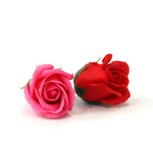 Rosa a Sapone - Bocciolo