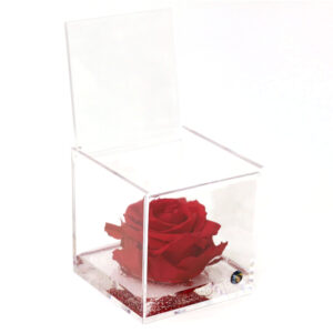 Rosa Stabilizzata 10x10cm