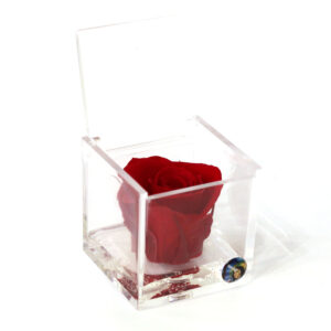 Rosa Stabilizzata 5x5cm