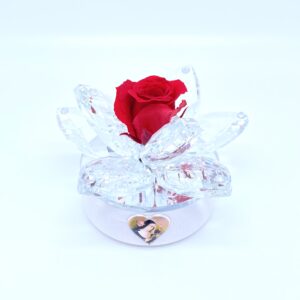 Rosa stabilizzata sopra un fiore di cristalli