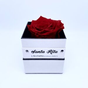 Rosa stabilizzata - rossa